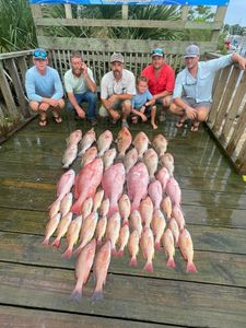 4 grey snappers caught fishing in FL