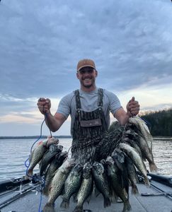 6 Gag Grouper and Crappie fish caught in Nashville