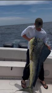 Single angler fishing in Nashville