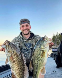 Two Largemouth Bass and Smallmouth Bass caught in TN