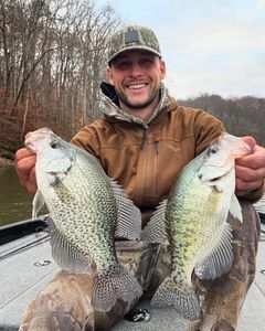 White crappie and crappie fish caught in TN