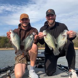 4 crappie fish caught in TN