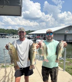 Four largemouth bass caught while fishing in Nashville