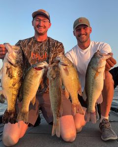 5 largemouth bass caught while fishing in Tennessee