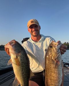 Two Smallmouth Bass and Largemouth Bass caught fishing in TN