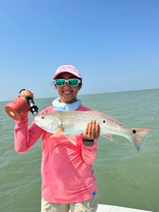 Redfish caught in TX