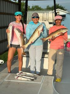 5 redfish caught while fishing at South Padre Island
