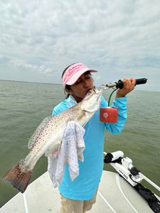 Spotted Weakfish caught on fishing trip at South Padre Island