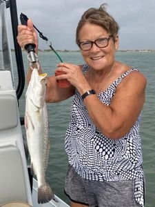 Spotted Weakfish caught fishing in TX