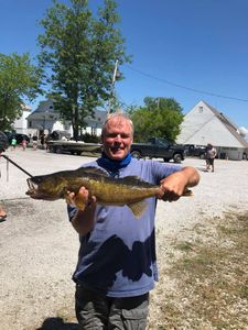 Lake Champlain Walleye