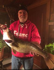 Lake Champlain Walleye