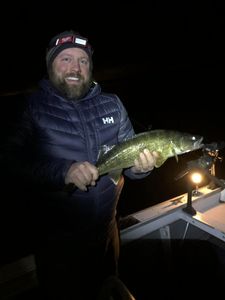 Walleye in Lake Champlain