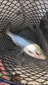 Fisherman enjoying a day on the water at Isle La Motte