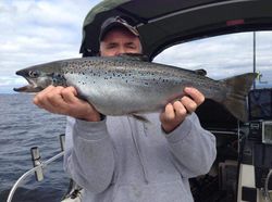 Lone rainbow trout, 30 inches, caught fishing on Isle La Motte