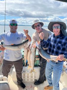 Trio of lake trout and chinook salmon caught at Isle La Motte