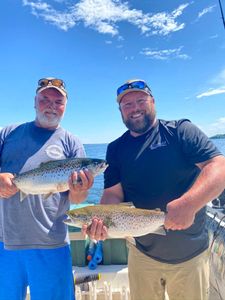 Two sea trout, 15 inches each, caught by two people fishing on Isle La Motte