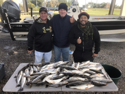 Best Toledo Bend Bass Fishing