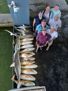 4 bull sharks measuring 45 inches caught in Galveston