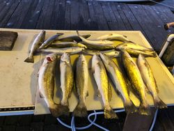 6 fishing in tx