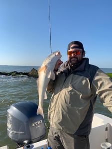 1 angler fishing in Galveston