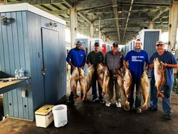 5 fishing the best, great in Galveston