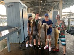 3 big fish caught by 4 people fishing in Galveston