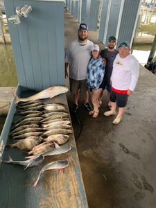 4 gafftopsail sea catfish, 27 inches long, caught by 4 people in Galveston