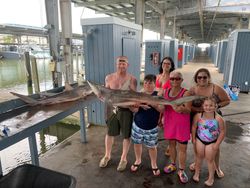 Blacktip shark, 49 inches long, caught fishing in Galveston