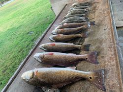 5 fishing in Galveston
