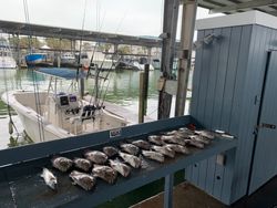 Fishing adventure in TX