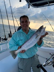 Angler fishing with rod in TX
