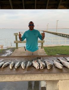 4 small fish caught while fishing in TX