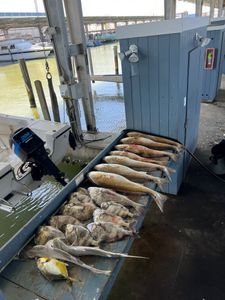 One person fishing in Galveston