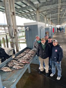 Group of 9 people enjoying a fishing trip in Galveston