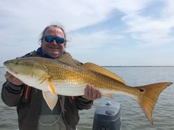 Redfish caught in Galveston, Texas
