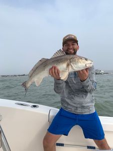 Photograph of a Redfish caught in Galveston, measuring 23 inches in length