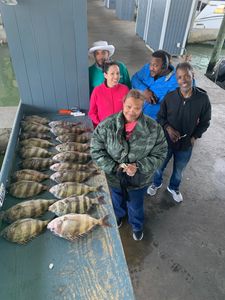 Photo of a 21-inch sheepshead caught while fishing in Galveston