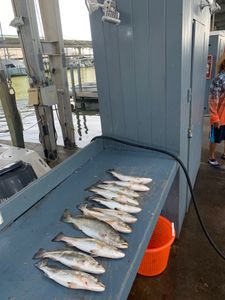 Two fishermen enjoying a fishing trip in TX