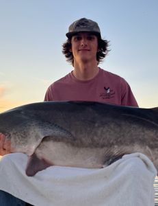 Fish big fish of the season.  