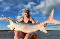 Sandbar shark measuring 52 inches, caught while fishing in OK