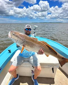 Landing redfish in Georgia’s coastal waters.