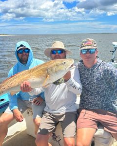 Redfish action in Georgia waters!