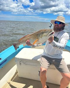 Redfish caught in Darien