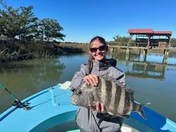 Sheepshead fish caught while fishing in GA