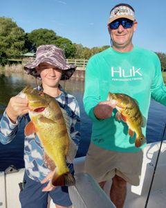 Bass And Peacock Bass