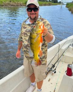 All Anglers Are Welcomed Delray Fishing Charters