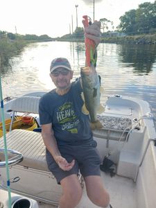 Bass Fishing Trips Delray Beach