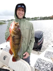 Angler's Haven: Lake Ida Bass Fishing