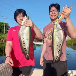 Thrilling Delray Beach Fishing Quests