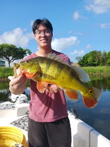 Discover Bass Fishing Bliss Here